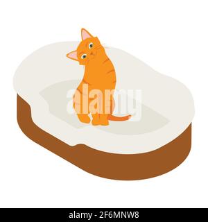 Ginger cat in his soft cozy bed cushion isolated on white background. Isometric view. Vector Stock Vector