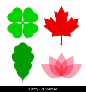 Geometric leaves of clover, maple, oak and lotus flower. Vector illustration isolated on white. Stock Vector