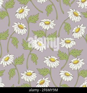 Vector seamless pattern with chamomiles. Vector flowers design. Stock Vector