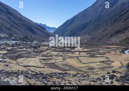 A small village located in a valley with terrace farms in the foreground and clear blue sky in the background in Sikkim India on 22 November 2016 Stock Photo