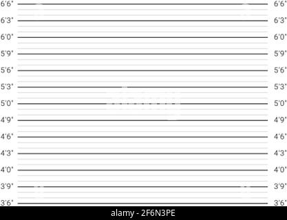 Police mugshot background. Person's height measuring scale. Stock Vector