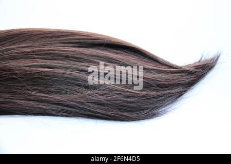 Black dark hair isolated on white background. Stock Photo