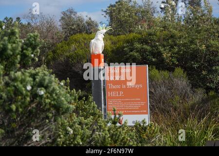 HOLD ONTO HOPE SIGN with Cockatoo perched on Top Stock Photo