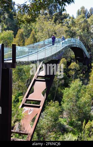 Lotterywest Federation Walkway in Kings Park and Botanic Garden Perth Stock Photo