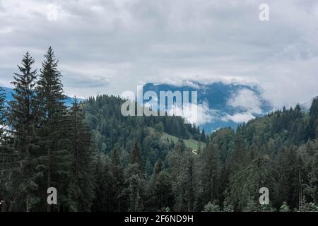 Foggy forest on Mount Jenner in Germany Stock Photo