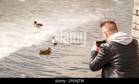 A young man takes pictures of ducks on the water. View from the back. Stock Photo
