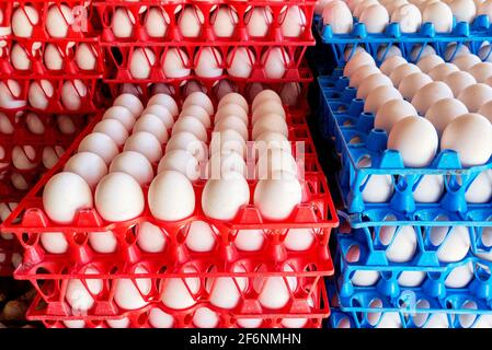 Close-up of colorful red and blue plastic trays filled with white chicken eggs, for sale at a market stall in the Philippines, Asia Stock Photo