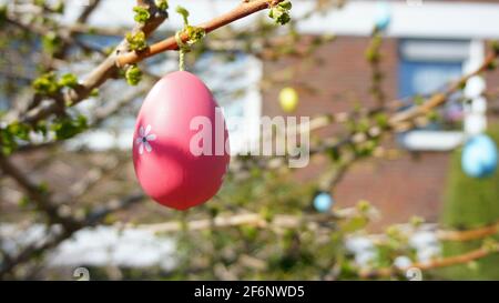 Colorful  easter eggs hanging branches Stock Photo