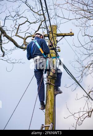 CONWY, UK - February 29, 2012. BT Openreach telecoms engineer repairing an overhead phone line. Technician working on a telegraph pole in Snowdonia, W Stock Photo