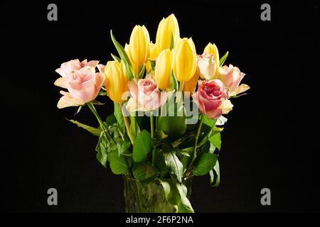 Bouquet of rose roses and yellow tulips on black background Stock Photo
