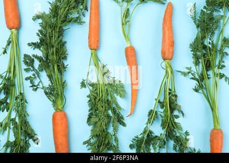 Fresh carrot with leaves on blue background Stock Photo
