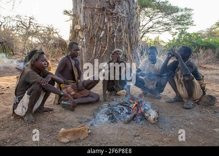 (10/15/2014) The Hadza are used to socialize around the fire by smoking a pipe or playing tribal instrumentsThe Hadza are a Tanzanian ethnic group living around Lake Eyasi. The population reaches almost a thousand people; 300-400 live as hunter-gatherers. The Hadza have no close correlation with any other population. They were considered an East African branch of the Khoisan people, mainly due to the fact that their language has the typical pops of the Khoisan languages, but recent genetic research studies suggest a proximity to the Pygmies. Their language appears to be isolated, unrelated t Stock Photo