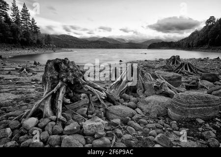 River Affric flowing through the glen, Scotland Stock Photo