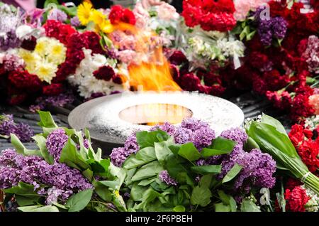Eternal flame. At the monument to fallen soldiers. Flowers by the fire. Stock Photo