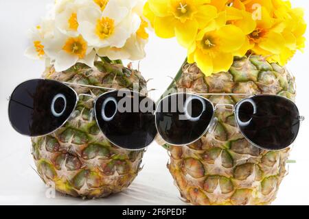 Easter Bunny, lamb and pineapple with sunglasses Stock Photo