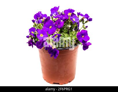 Greek blue pillow pot isolated on white background Stock Photo