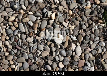 Pile sea gray stones. Background from sea gray stones. Stock Photo