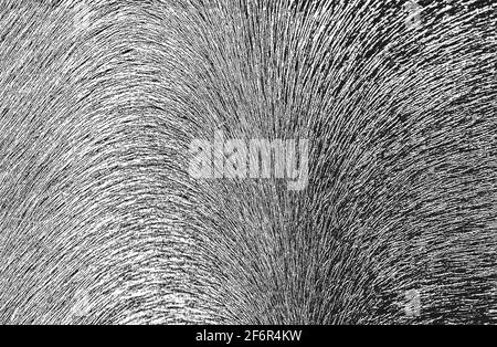 Distressed overlay texture of natural fur, grunge vector background. abstract halftone vector illustration Stock Vector