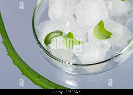 Ice cubes with Aloe vera. Home made skin treatment. Close up. Stock Photo