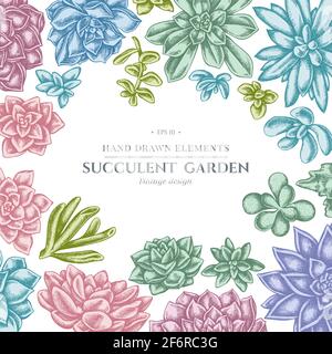 Floral design with pastel succulent echeveria, succulent echeveria, succulent Stock Vector