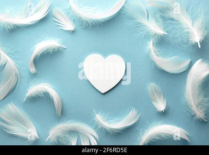 Delicate pastel background. White heart and feathers on blue paper. Template for congratulations. Valentine card, fathers day, happy birthday, anniver Stock Photo