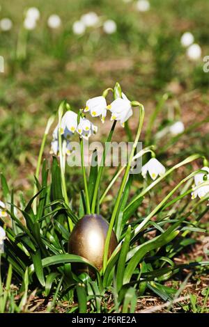 Easter eggs snowflake outdoors Stock Photo