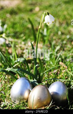 Easter eggs snowflake outdoors Stock Photo