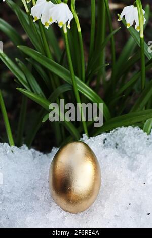 Easter eggs snowflake outdoors Stock Photo