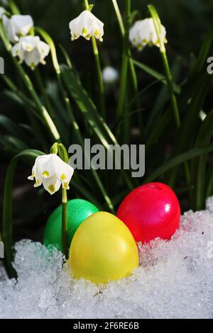 Easter eggs snowflake outdoors Stock Photo
