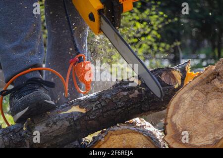 Men sawing apple tree with a chainsaw in his backyard. Worker pruning tree trunk in the garden Stock Photo