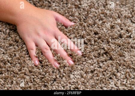 Close up of hand touching soft carpet. Gentle and fluffy carpet between fingers. Stock Photo
