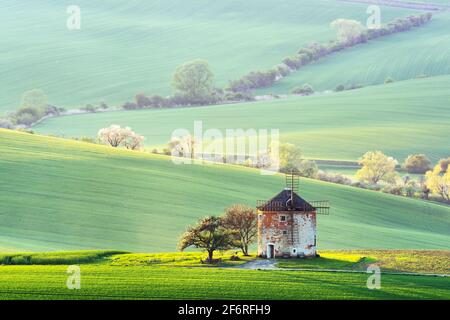 beautiful spring field , landscape Stock Photo - Alamy