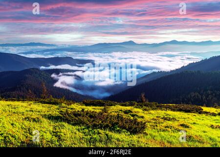 Lush green grass covered mountains meadow in summer time. Soft sunrise light glowing on a foreground. Landscape photography. Nature background Stock Photo