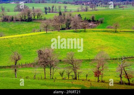 France, Centre, Auvergne, Winter landscape at near Saint Constant, in the Cantal.