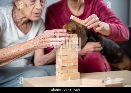 Retired mother and daughter spend time together at home, playing board game and caressing dachshund dog. Caucasian senior woman builds tower of wooden Stock Photo