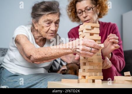 Retired mother and daughter spend time together at home, playing board game and caressing dachshund dog. Caucasian senior woman builds tower of wooden Stock Photo