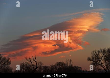 lenticular cloud over the Owens Valley at sunset with silhouette trees at the bottom Stock Photo
