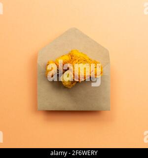 Dry ranunculus flowers in envelope on orange background. flat lay, top view, copy space Stock Photo
