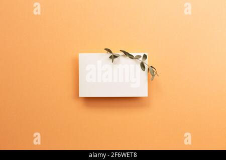 Empty memo paper with eucalyptus leaves on orange background. flat lay, top view, copy space Stock Photo