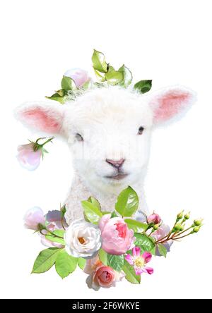 White baby lamb with floral rose wreath Stock Photo