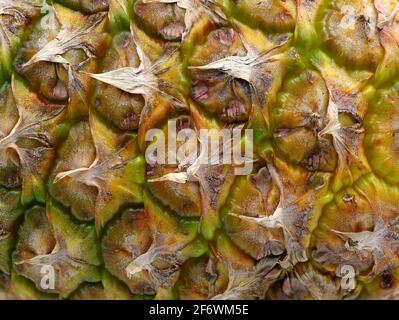 Close up texture of fresh ripe pineapple background Stock Photo