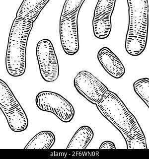 Bacterium seamless pattern in realistic sketch stile. Hand drawn medical background. Vector illustration Stock Vector