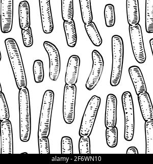 Bacterium seamless pattern in realistic sketch stile. Hand drawn medical background. Vector illustration Stock Vector