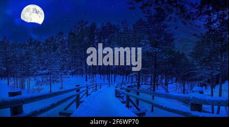 Magic starry night with full moon in winter forest. Wooden pathway covered in snow in pine forest. Coniferous forest with footpath in moonlight during Stock Photo