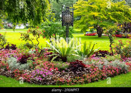 Various plants and flowers on Stadtgarten / Stadt garden in Lindau, Germany Stock Photo