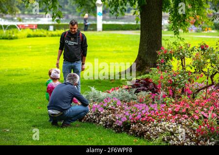 Various plants and flowers on Stadtgarten / Stadt garden in Lindau, Germany Stock Photo