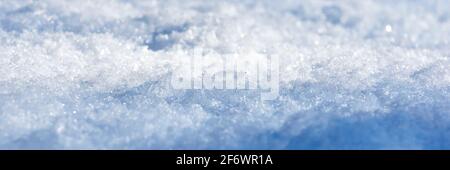Snow crystals macro with blue shadows. Image with shallow depth of field. Winter or christmas background for header or banner Stock Photo