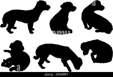 Collection of bichon maltese dogs silhouettes isolated on white Stock Vector