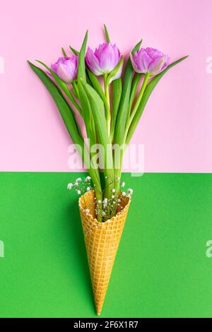 Bouquet of pink tulips and gypsophila in an ice cream cone on a colored background. Stock Photo