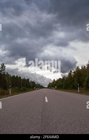 Empty straight dark forest asphalt road going to the distance, autumn ...